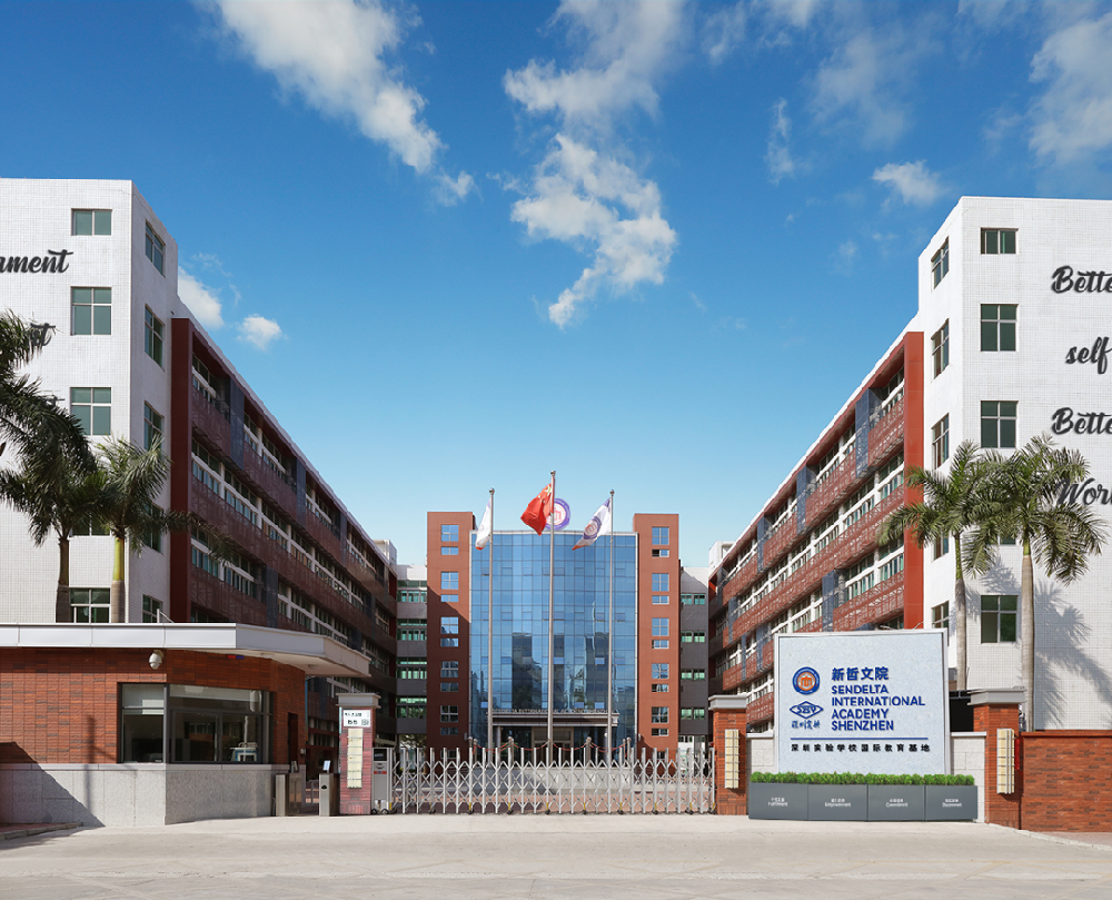 学霸扎堆！新哲Alpha项目再创美国前十、常春藤盟校、牛剑大满贯！